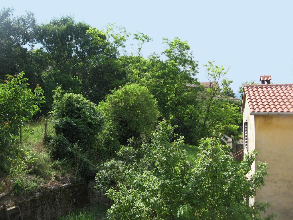 Apartments Alen Pazin Luaran gambar